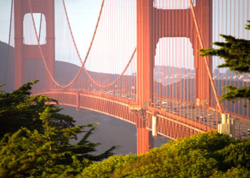 The Golden Gate Bride