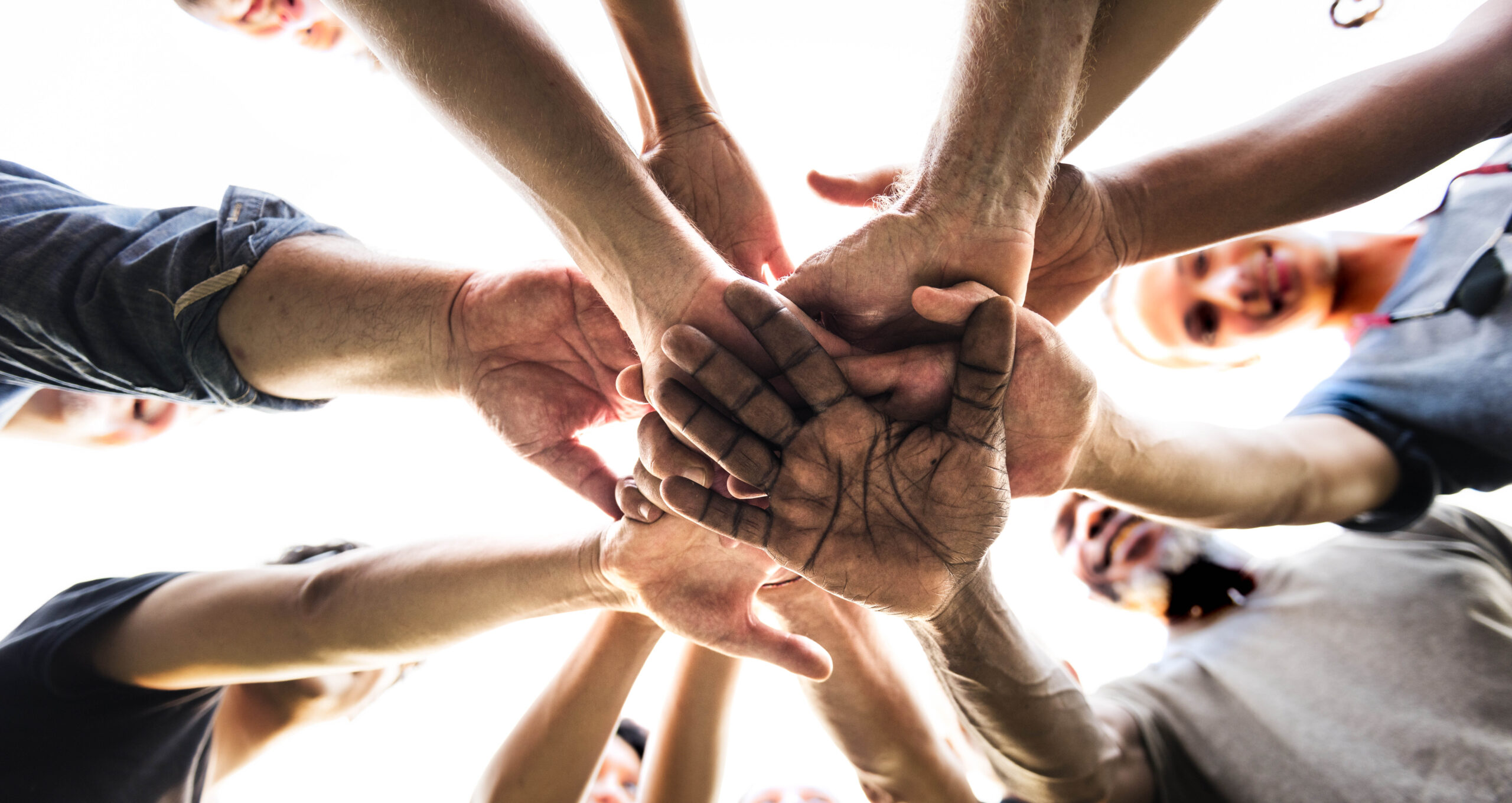 10 Interdependence Examples 2024 - vrogue.co