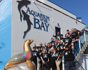 Aquarium of the Bay - PR Featured Image