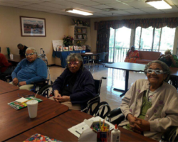 Three elderly ladies seated at a table in a communal area. They are wearing colorful glasses and have activities in front of them. The atmosphere appears friendly and communal, with other individuals and tables in the background.