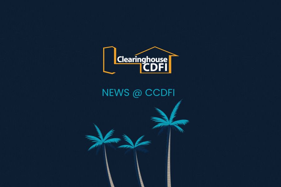 Newsletter Header Summer Palms