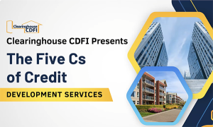 The Five Cs of Credit: Highlights + Q&A (May 2025) image