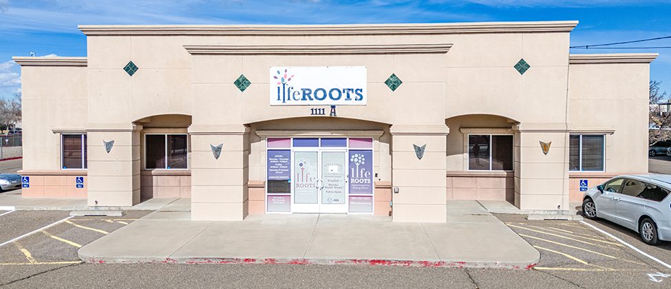 LifeROOTS-Inc-Main1